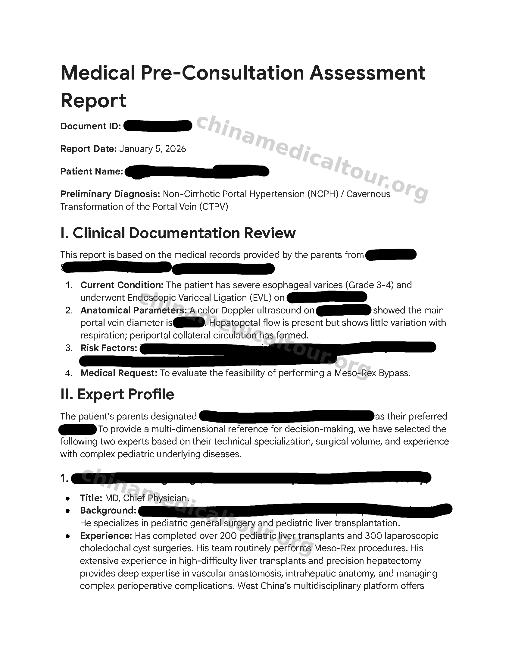 Report preview - page 1